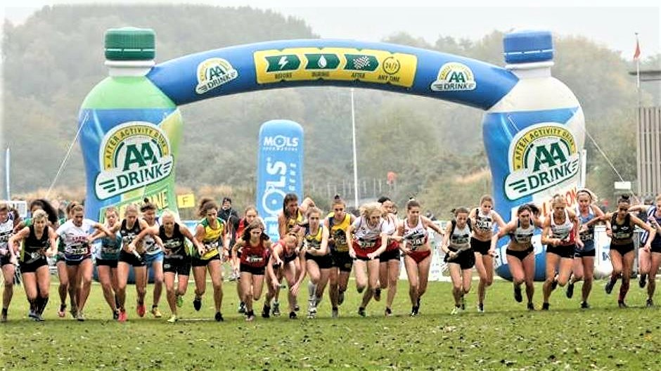 Opblaasbare boog - Publi air start en finish boog inflatable arch AA-drink