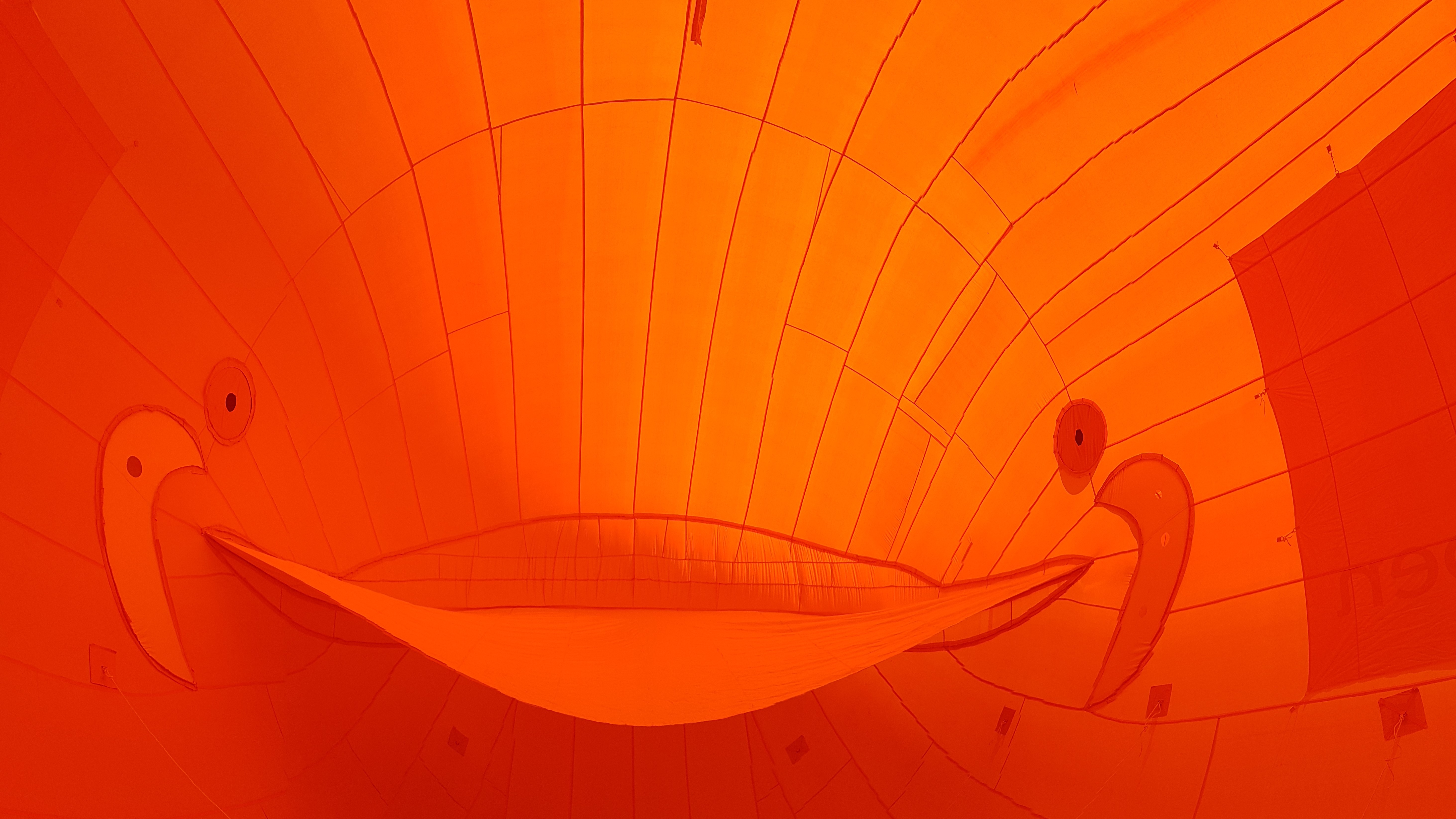 binnenkant Staatsloterij opblaasbare vis- publiair-biggestfish-amsterdam-centraal- ij