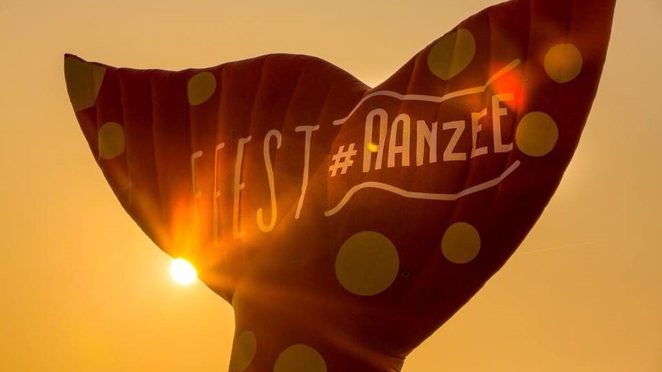 feest aan zee3