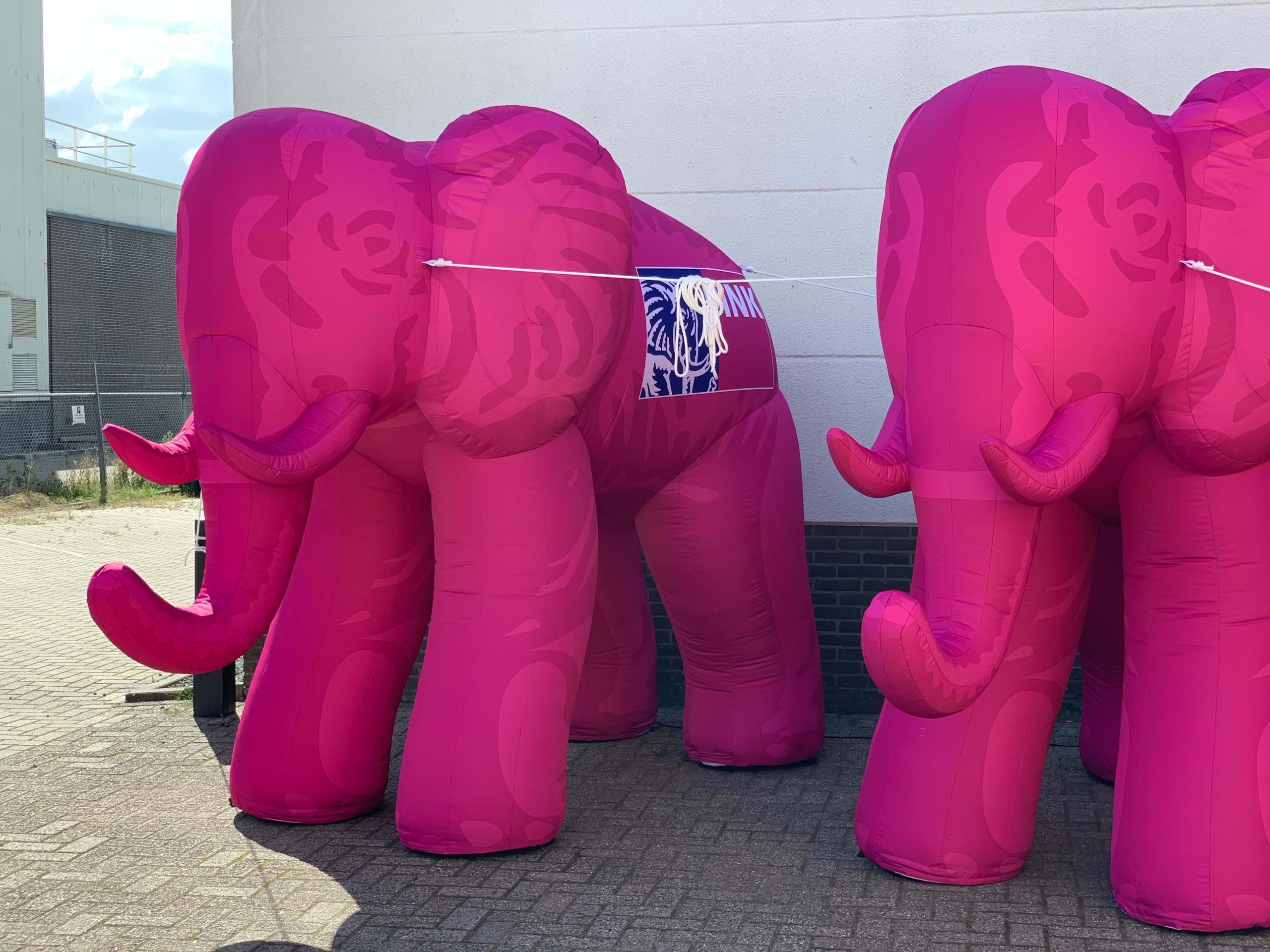 publi-air-pink-elephant-single-buiten